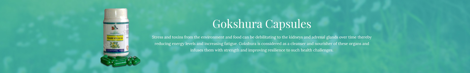 gokshura-capsules