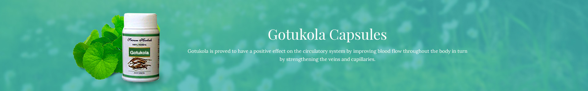 gotukola-capsules